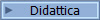 Didattica